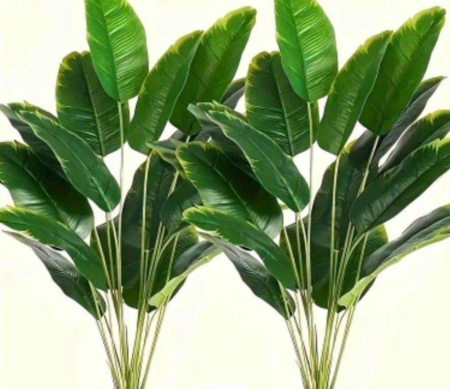 Banana Plants (Pair) 2ft