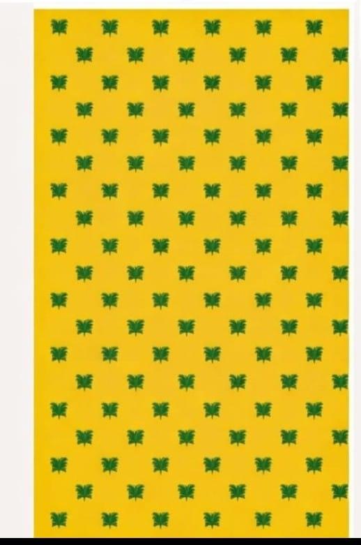 Yellow Backdrop (8x5ft)